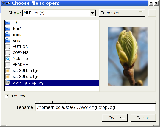 Dialog window for file opening with embedded preview